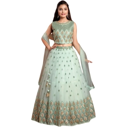 Embroidered Net Lehenga Set